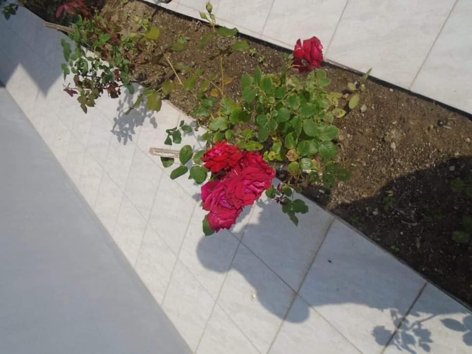 דירות סארטי House Filippos מראה חיצוני תמונה